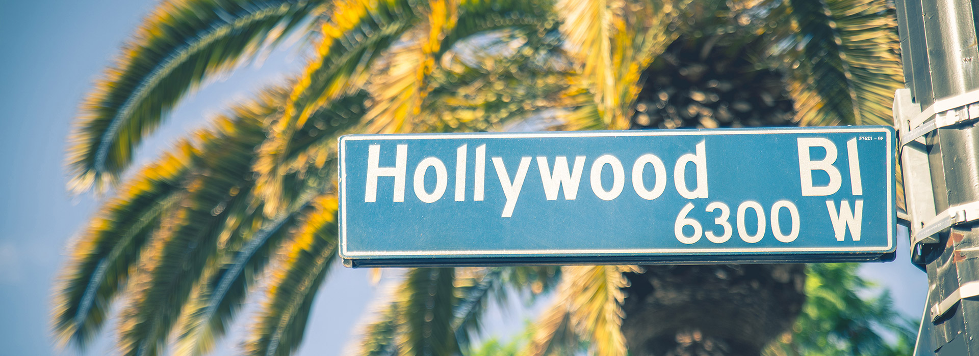 Hollywood Boulevard street sign with palm trees.